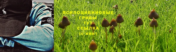 MDMA Гусь-Хрустальный